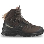 Baskets Salomon  Quest 4 Gore-Tex W