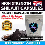 Himalayan Shilajit 60 6500mg 10.1 EXTRACT Caps,High Strength Fulvic Acid Energy