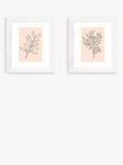 EAST END PRINTS Violet Studio 'Soft Leaves I & II' Framed Print, Set of 2