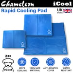 Pet Cooling Gel Mat Bed Dog Cat Summer Heat Relief Non-toxic Cushion Pad 3 Sizes