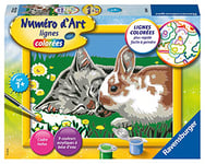 Ravensburger – Numéro d’Art petit format – Chaton et son compagnon le lapin – Loisir créatif – Kit de peinture par numéros – Activité détente et créative – Dès 7 ans – 28661 – Version française