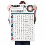 Mandolin Chords Chart of Popular Chords, Mandolin Instrument Fretboard Notes and Circle of Fifths, Useful for Mandolin Beginners Adult or Kid, Acoustic 8 String Mandolins Chords Poster