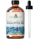 EVOKE OCCU Eucalyptus Oil 4 FL Oz for Diffuser Inhaler Spray Humidifier Aromatherapy DIY Candle and Soap Making- 118ml