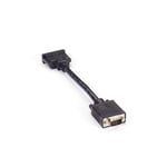 BLACK BOX VGA to DVI-I Video Adapter Dongle - video adapter - HD-15 (VGA) til DVI-I