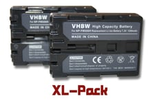 vhbw 2x Batteries compatible avec Sony Alpha DSLR-A300X, DSLR-A350, DSLR-A350H, DSLR-A350K appareil photo, reflex numérique (1200mAh, 7,2V, Li-ion)