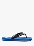 Quiksilver Kids' Molokai Core Flip Flops, Blue