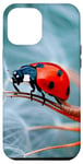 Coque pour iPhone 15 Pro Max Art des coccinelles, design graphique, amateur naturel d'insectes