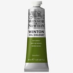 Winsor & Newton Winton Oil Paint 37ml Sap Green