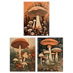 Set of 3 Botanical Fungi Mushroom Paintings Earthy Flora Fauna Nature Unframed Wall Art Living Room Poster Prints Pack