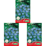 Germisem Graines Lin vivace bleu PERENNIAL BLUE (Lot de 3)