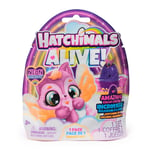 Hatchimals Alive Neon Rainbow 1-Pakning Overraskelsesfigur