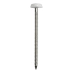 Bo?te de 100 Pointes annel?es inox A4 ACTON - t?te bomb?e PVC - 50 x 2.5mm - 647882,5X50CDT100P