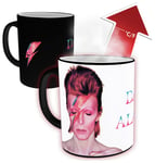 GB eye David Bowie Aladdin Sane Heat Change Mug