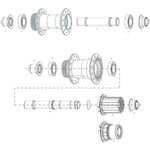 Zipp Frihjulsbody Freehub Body för 176/177 Sram XDR