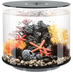 Biorb - Aquarium décoratif 35l avec cadre noir - Oase - Tube 35 mcr black