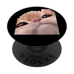 Cute Cat Sparkle Eyes Cat Memes Silly Staring Anime Kawaii PopSockets Adhesive PopGrip