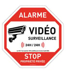 AUA SIGNALETIQUE - Panneau Octogonal Stop Propriété Privée sous Alarme Vidéo Surveillance - Ø 270 mm, Vinyl adhésif