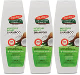 Palmer's Coconut Oil Moisture Boost Shampoo 400ml | Hydrating | Sulfate-Free X 3