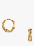 Orelia Molten Swarovski Crystals Chunky Hoops, Gold