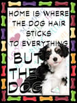 Shawprint Border Collie Puppy Dog Fridge Magnet 100mm x 75mm HOME IS WHERE THE DOG HAIR STICKS TO EVERYTHING BUT THE DOG Novelty Gift