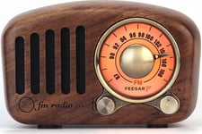 Fm Radio With Bt Feegar Retro Wooden Speaker