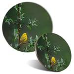 Mouse Mat & Coaster Set - Little Yellow Bird Tree Rain Nature  #45583