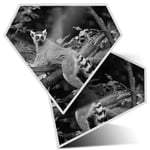 2 x Diamond Stickers 7.5cm BW - Cool Tailed Lemur Madagascar  #35424