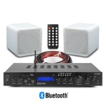 Hi-Fi Stereo Speaker System with Home Theatre Amplifier, FM Bluetooth, B405A