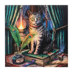 Lisa Parker Book of Shadows LED Light Illuminated Canvas Plaque Mystic Wall Art