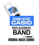 Black resin strap for Casio G-Shock GWG-1000-1A