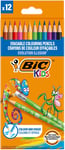 BIC Kids Evolution Illusion Erasable Colored Pencils, Pack of 12 12  (US IMPORT)