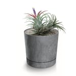 Botle Pot De Fleur Rond Gris Plastique Beton Effect Cache Pot 23,1 Cm Decoratif Bac A Plantes Avec Soucoupe Fleurs