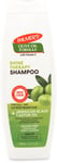 Palmer's Olive Oil Formula Smoothing Shampoo 400ml X 1