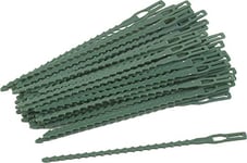 Meister 9970200 Lot de 50 plantes pratiques avec petits crochets barbelés pour jardin, maison et loisirs en plastique Vert 17 cm