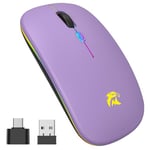 HZD Souris sans Fil Rechargeable,RGB Souris Bluetooth,Bluetooth et 2,4 GHz Unifying avec Récepteur USB,Multi-Dispositif,1000-1600 DPI Réglable Compatible PC,Mac,Ordinateur Portable,Chromebook Pourpre