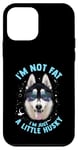 Coque pour iPhone 12 mini Chien Husky drôle : I'm Not Fat, I'm Just a Little Husky