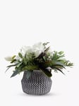 John Lewis Artificial Magnolia Pine Cone in Cement Planter