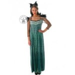 The Great Power wizard of Oz Evanora Costume Disney Fancy Dress