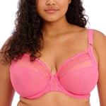 Elomi BH Matilda Underwired Plunge Bra Mørkrosa K 80 Dame