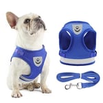 Anlitent Best No Pull Dog Harness and Lead Set for Walking, No Escape Puppy Vest Harnesses Set for Small Breed Pet Fully Adjustable with Reflective Safe (Large, Blue)