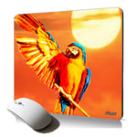 tapis de souris souple perroquet oiseau exotique accessoire PC portable gaming couché de soleil oiseau animal