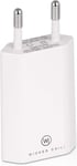 Pro Series Chargeur Ultra Fin Avec Adaptateur Usb Pour Apple Iphone 6s Plus/6 Plus/6s/6/5se/5c/5s/5, Ipod Nano/Touch, 1000 Ma, 100\U2013240 V, Blanc[Cdq090792]