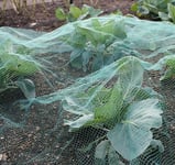 Green Soft Butterfly Protection Netting Crop Veg Garden Anti Bird Multiple Sizes