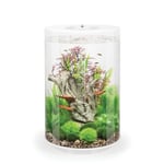 Oase - Aquarium décoratif 30l blanc Tube 30 mcr white