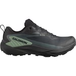 Salomon Men's Genesis GORE-TEX Black/Agave Green/Urban Chic, Black / Agave Green / Urban Chic, 47 1/3