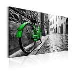 Tavla Arkiio Vintage Green Bike