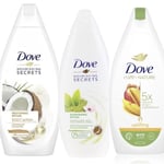 Dove  Shower Gel Coconut Almond  . Mango  .green Matcha Tea  3 Pack Of 500 Ml