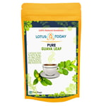 Lotustoday Guava Leaf Tea 21 Tea Bags Detox Weight Loss Diabetic Diet Herbal Tea