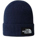 Chapeau The North Face  TNF LOGO BOX CUF BNE