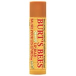 Burt´s Bees Lip Balm HONEY